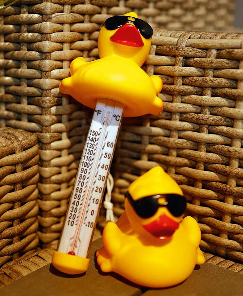 Badeente & Thermometer für Whirlpools Badeente für Whirlpools