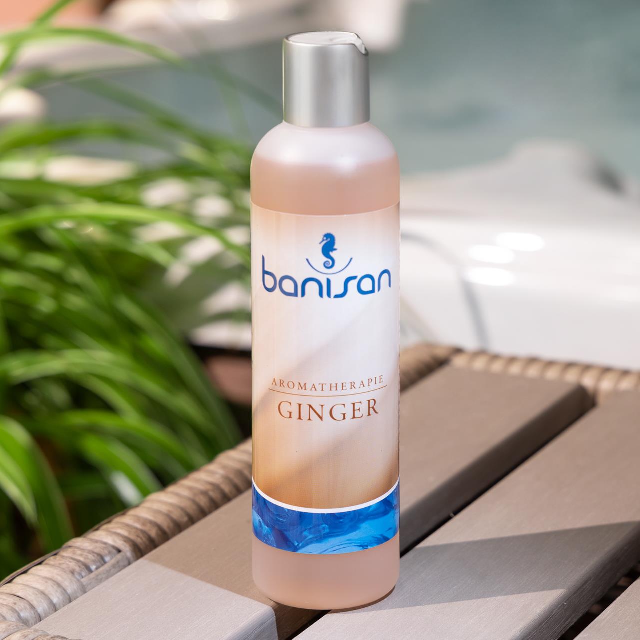 Whirlpool Badezusatz BANISAN - 250 ml - nicht schäumend - Ginger